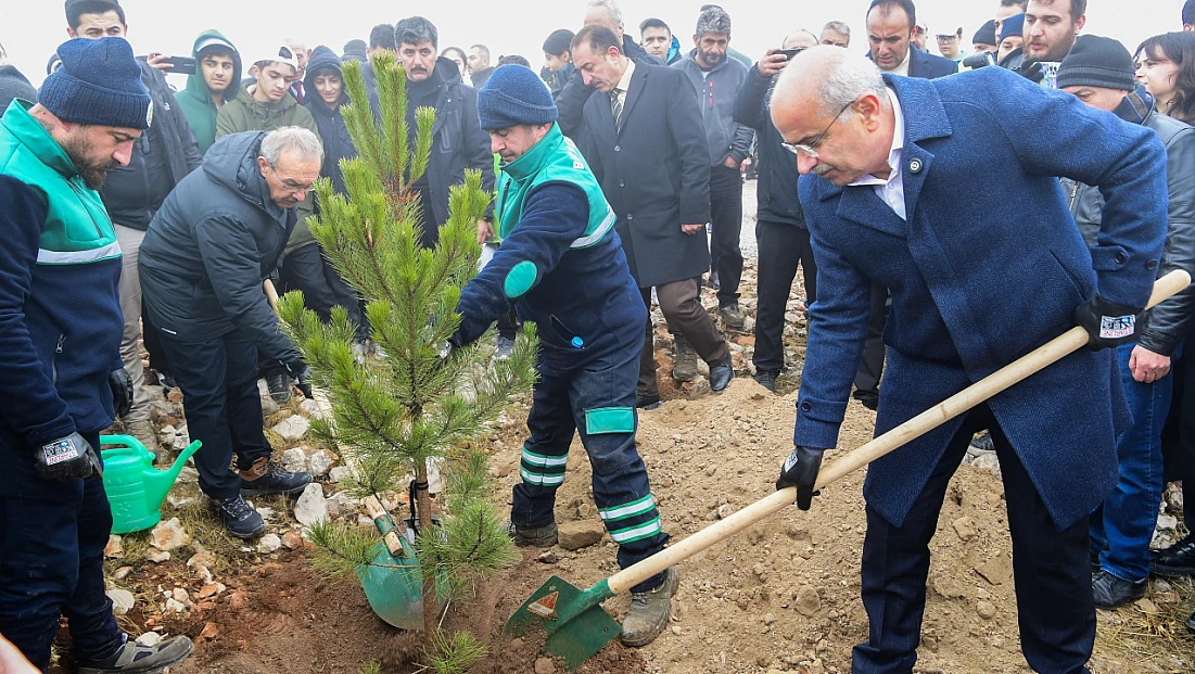 Beydağı Ağaçlandırma Seferberliği: 10 Bin 444 Fidan Toprakla Buluştu