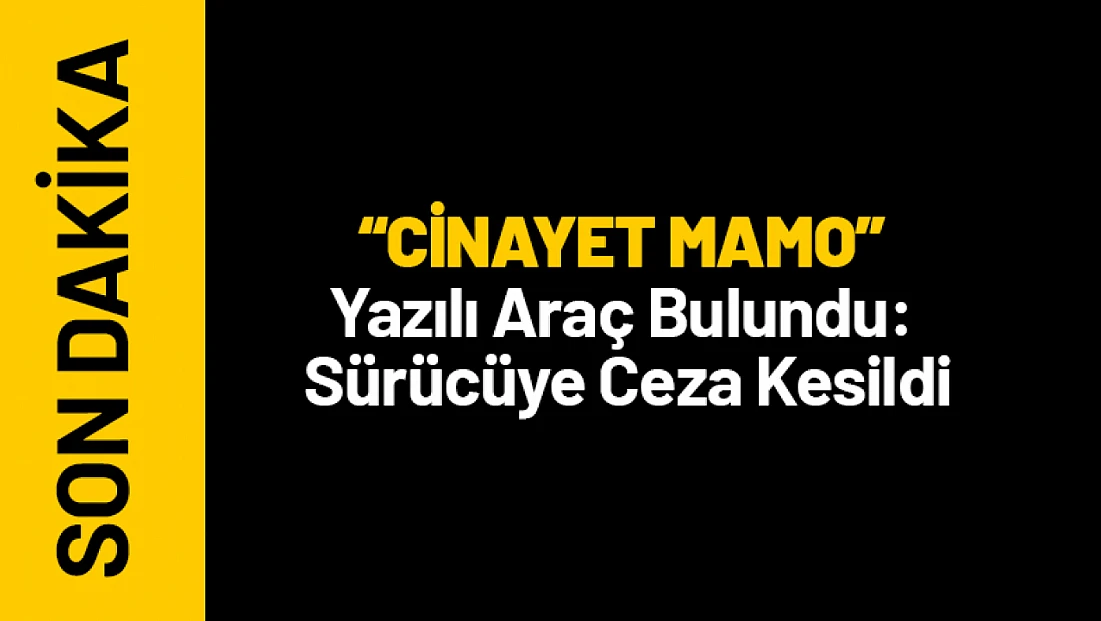 'CİNAYET MAMO' Yazılı Araç Bulundu: Sürücüye Ceza Kesildi