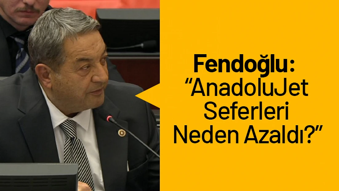 Fendoğlu: 'AnadoluJet Seferleri Neden Azaldı?'