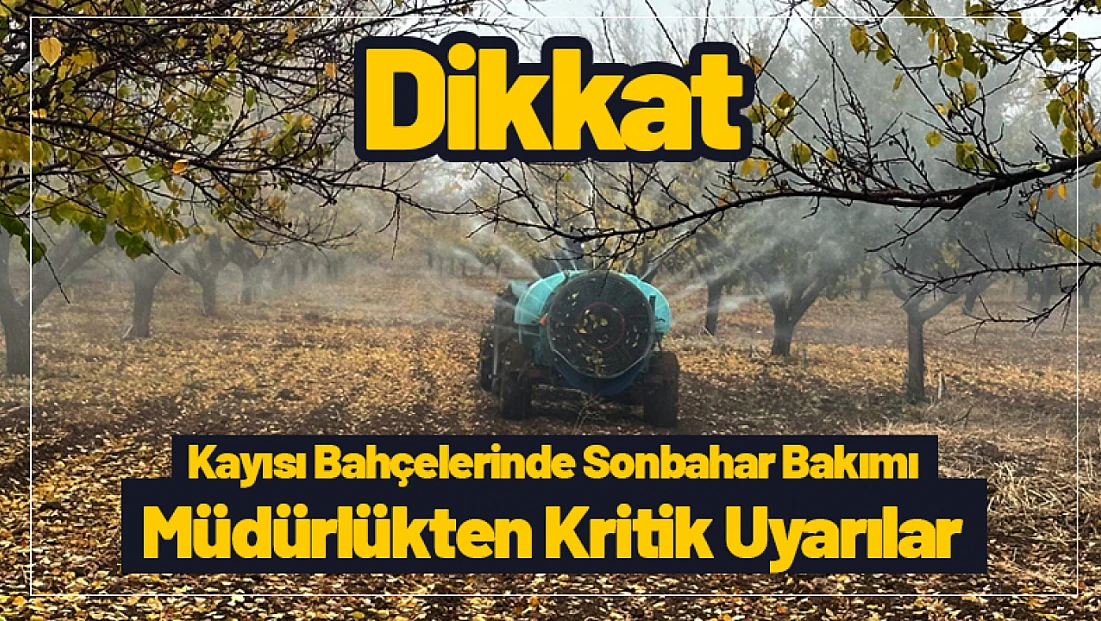 Kayısı Bahçelerinde Sonbahar Bakımı: Müdürlükten Kritik Uyarılar