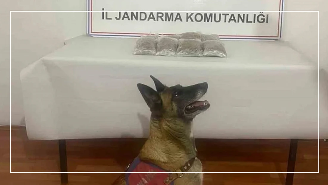 Muradiye’de Uyuşturucuya Geçit Yok