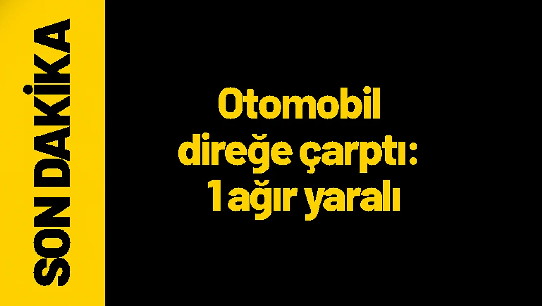 Otomobil direğe çarptı: 1 ağır yaralı