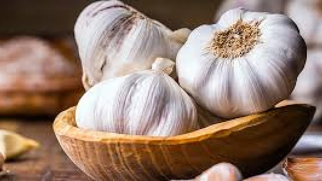 Sarımsağın Mucizevi Faydaları: Küçük Ama Güçlü Şifa Kaynağı