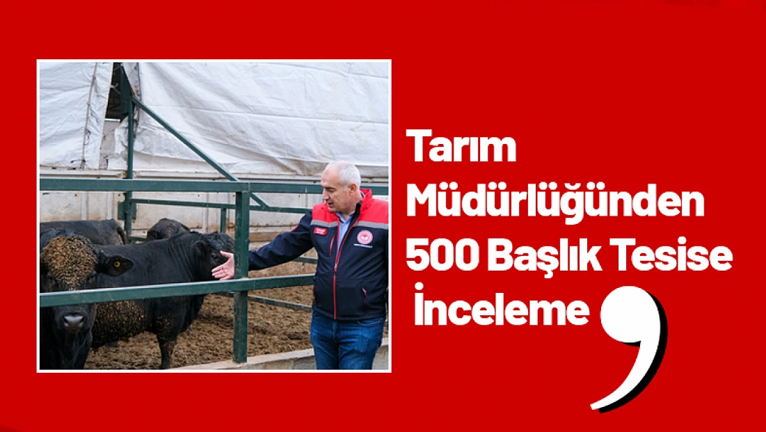 Tarım Müdürlüğünden 500 Başlık Tesise İnceleme