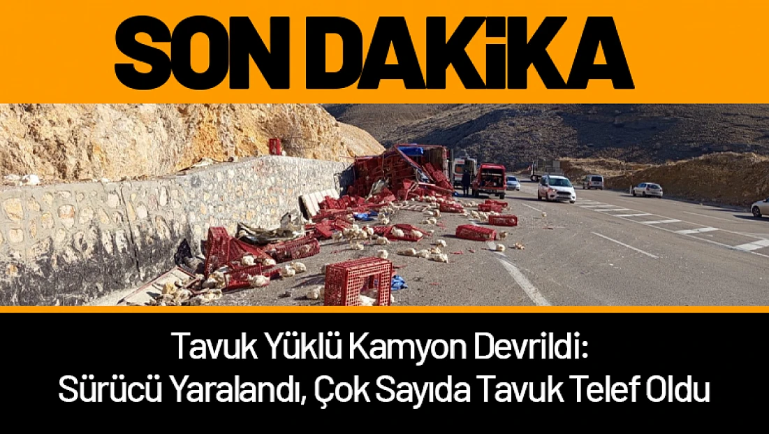 Tavuk Yüklü Kamyon Devrildi: Sürücü Yaralandı, Çok Sayıda Tavuk Telef Oldu