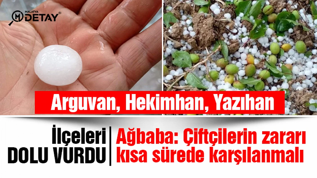 Ağbaba: Çiftçilerin zararı en kısa sürede karşılanmalıdır