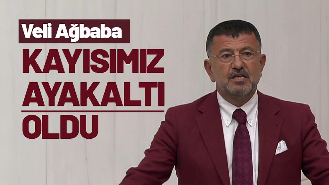 Ağbaba: 'Kayısımız Ayakaltı Oldu'