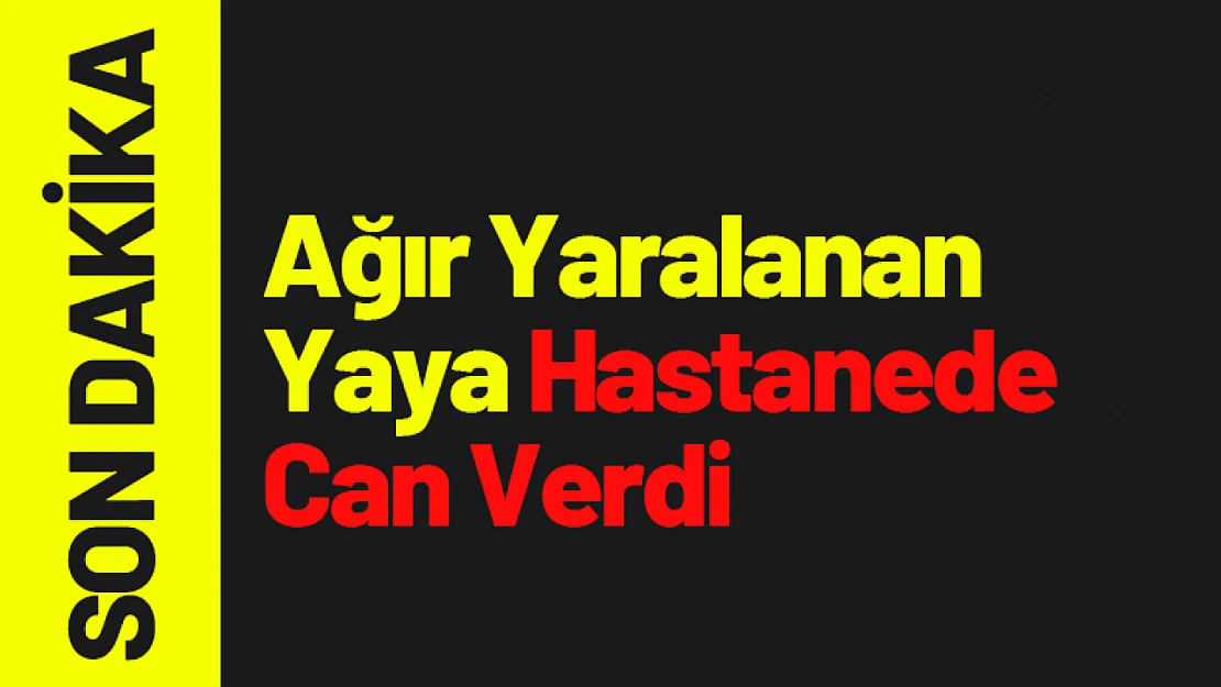 Ağır Yaralanan Yaya Hastanede Can Verdi