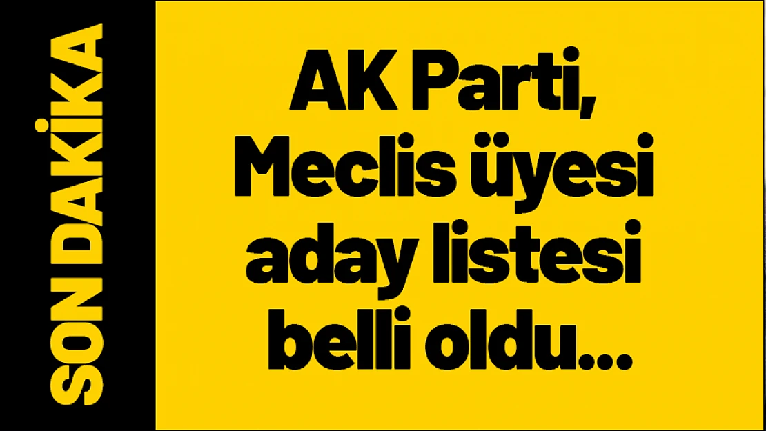 AK Parti, Meclis üyesi aday listesi belli oldu...
