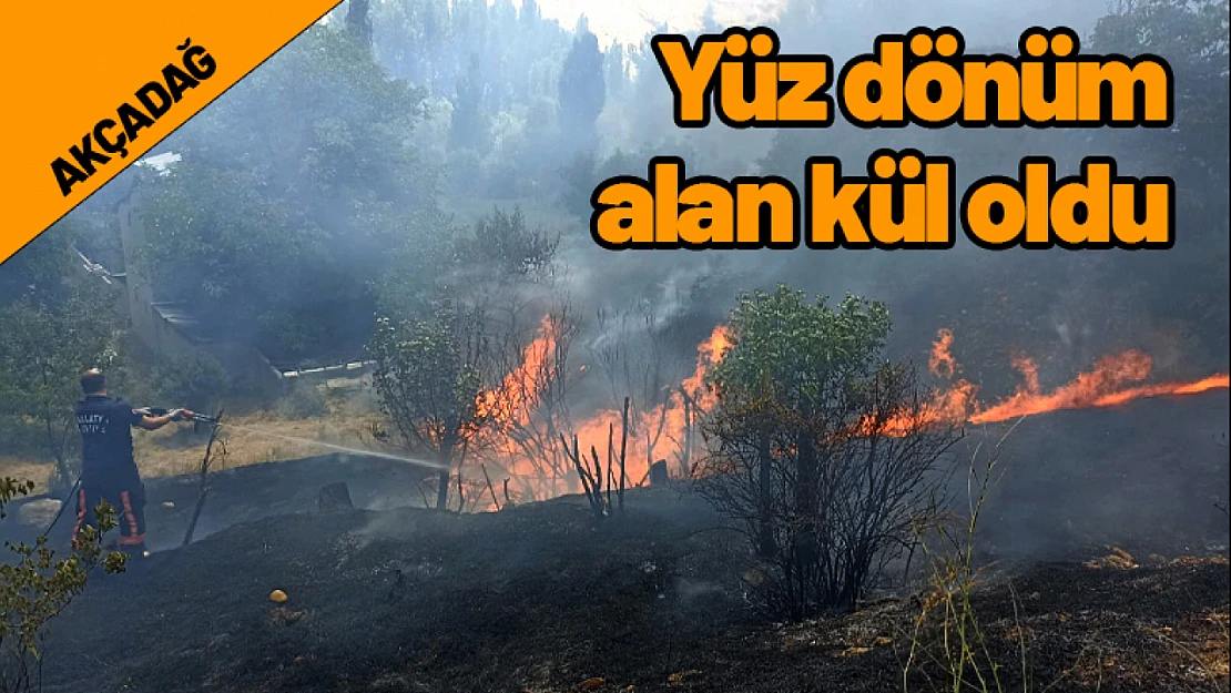 Akçadağ'da yüz dönümlük alan yandı..