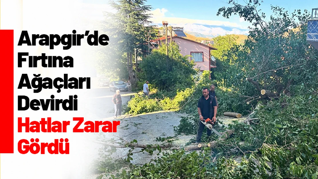 Arapgir'de Fırtına Ağaçları Devrdi, Hatlar Zarar Gördü