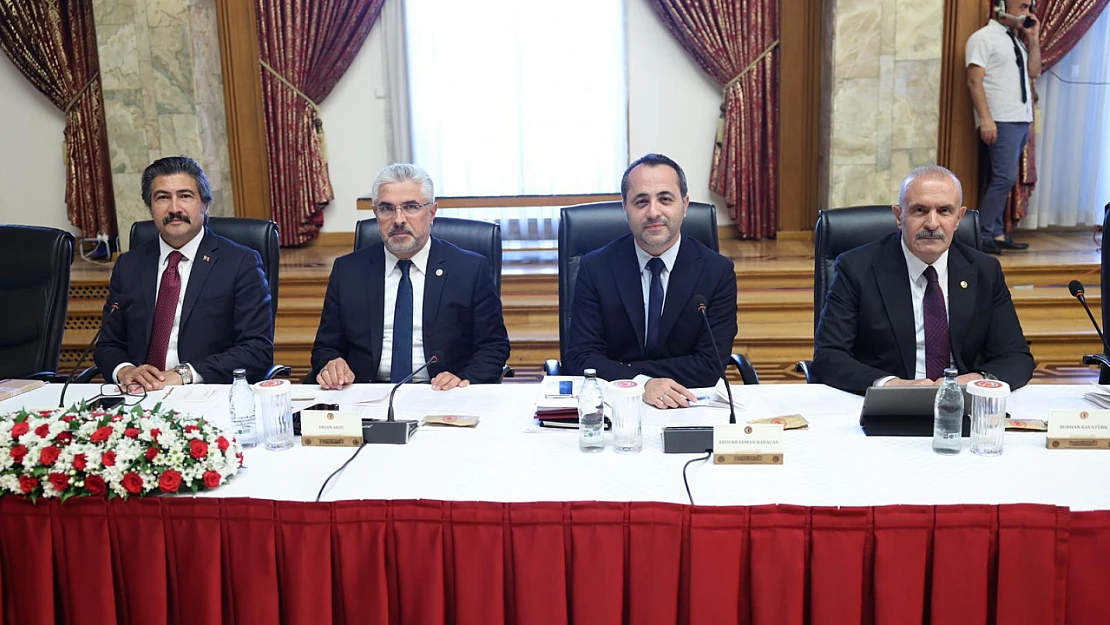 Babacan: 'Şehit aileleri ve gazilerin taleplerini komisyona aktardık'
