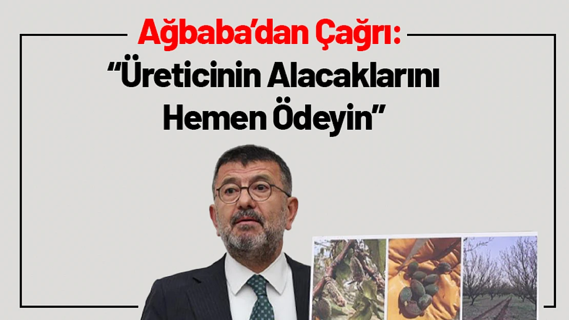 CHP'den Hükümete Çağrı: Üreticinin Alacaklarını Hemen Ödeyin