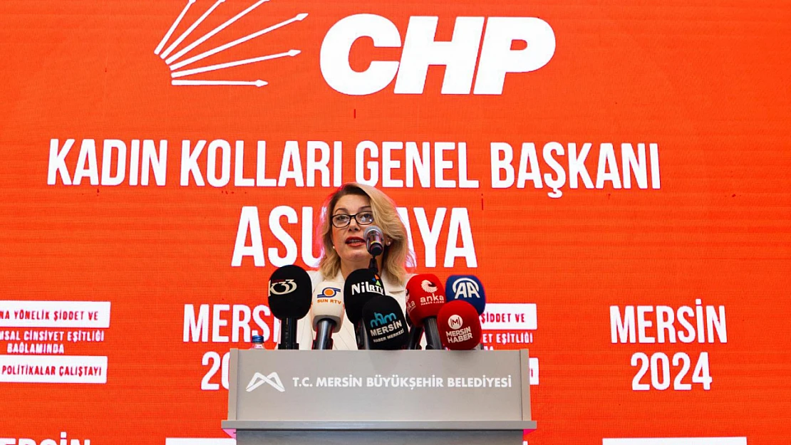 CHP'li Asu Kaya'dan Aile Bakanlığı'nın 2025 Bütçesine Sert Eleştiri