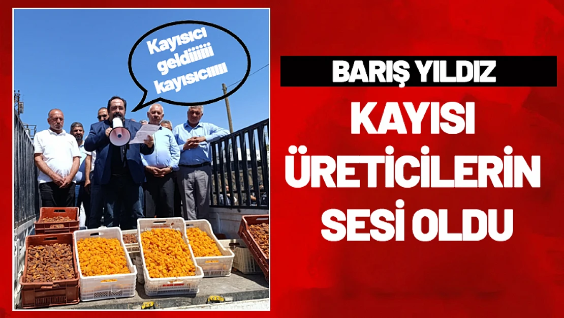 CHP'li Başkan Kayısı Üreticilerin Sesi Oldu...