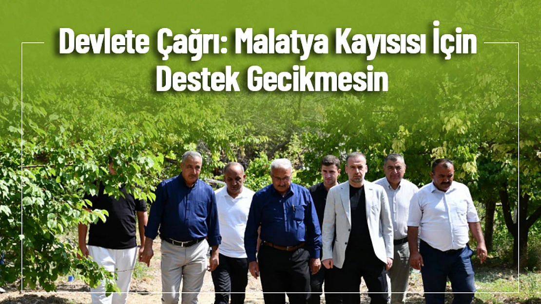 Devlete Çağrı: Malatya Kayısısı İçin Destek Gecikmesin