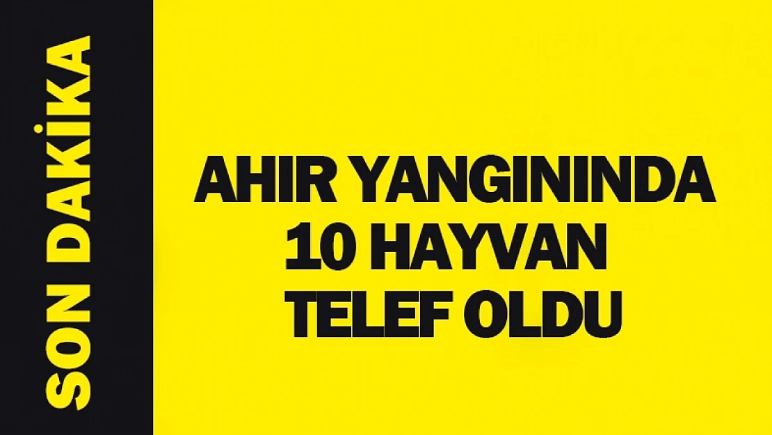 Doğanşehir'de Ahır Yangını: 10 Hayvan Telef Oldu
