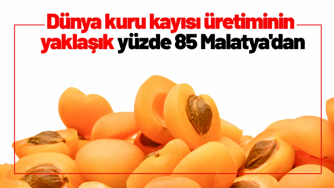 Dünya kuru kayısı üretiminin yaklaşık yüzde 85 Malatya'dan