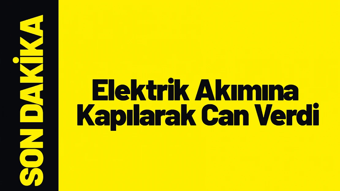 Elektrik Akımına Kapılarak Can Verdi.