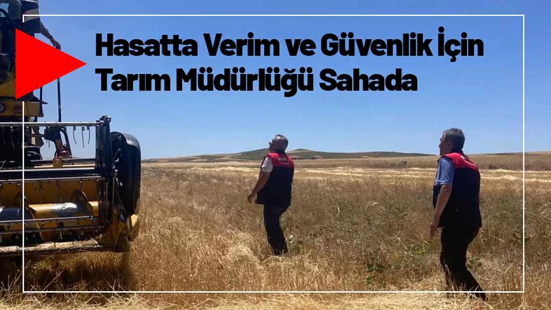 Hasatta Verim ve Güvenlik İçin Tarım Müdürlüğü Sahada