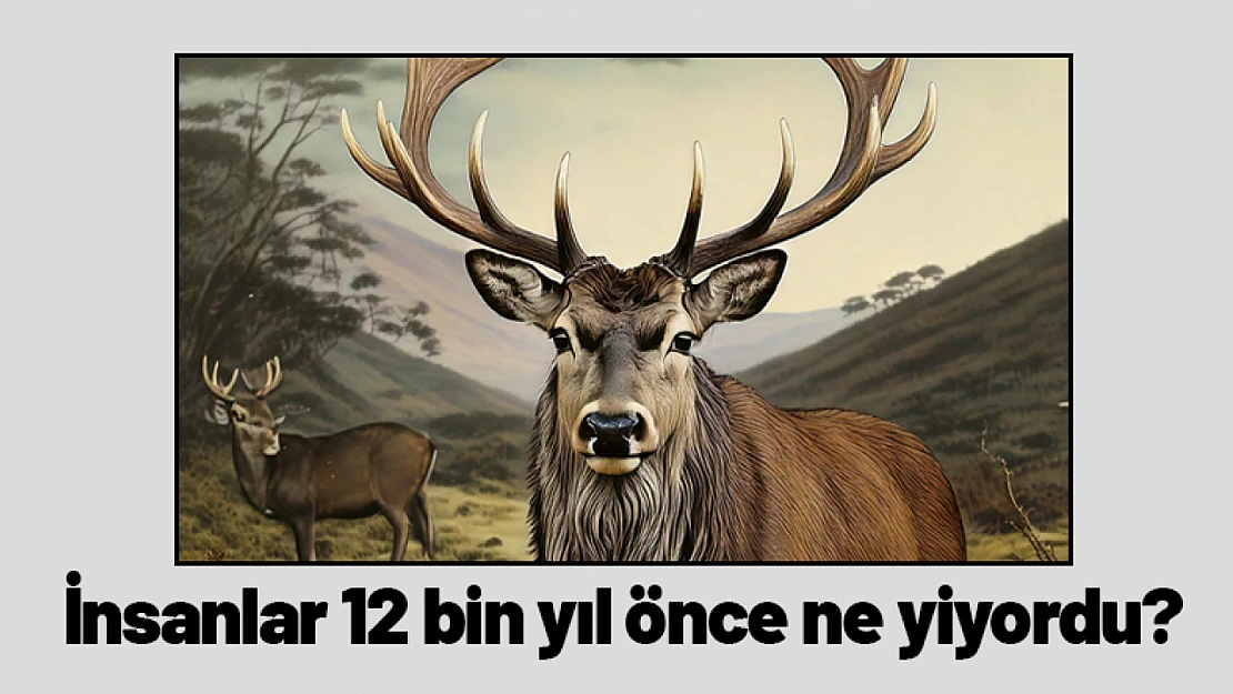 İnsanlar 12 bin yıl önce ne yiyordu?