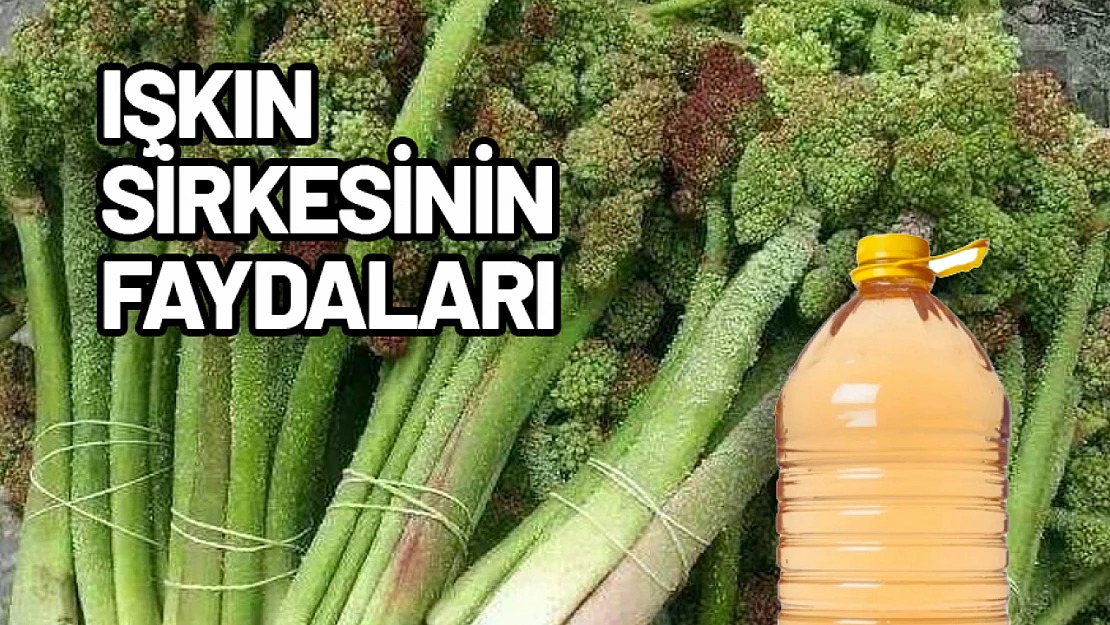 Işkın Sirkesinin Faydaları