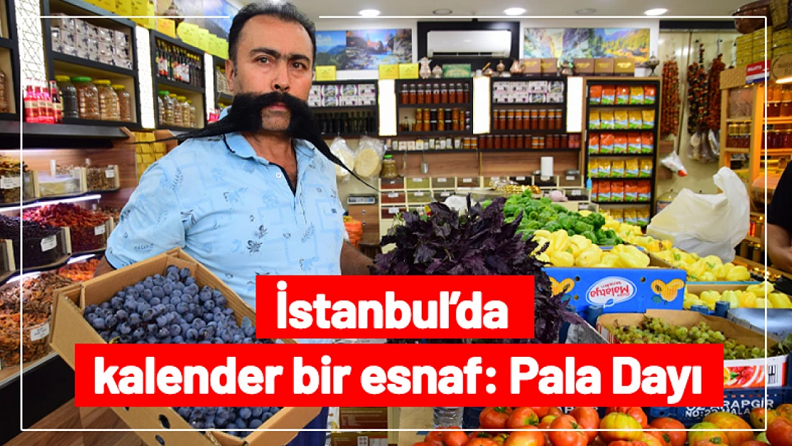 İstanbul'da kalender bir esnaf: Pala Dayı