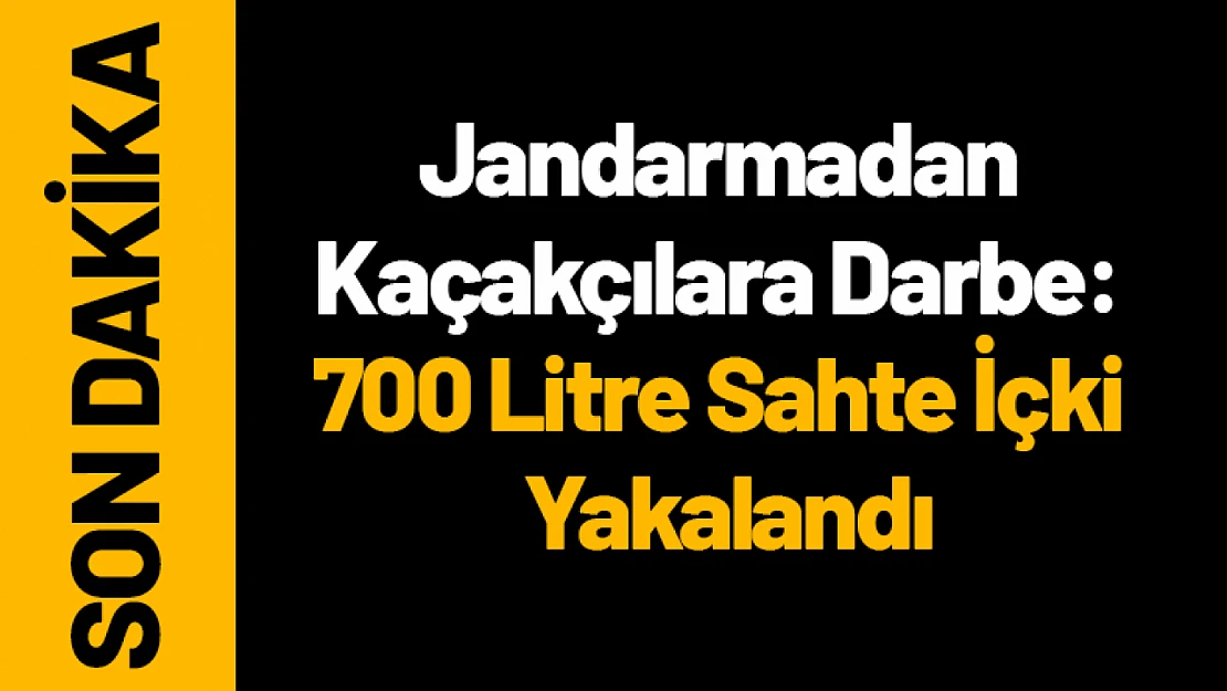 Jandarmadan Kaçakçılara Darbe: 700 Litre Sahte İçki Yakalandı