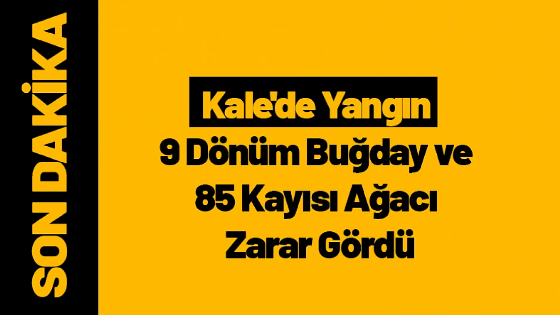 Kale'de Yangın: 9 Dönüm Buğday ve 85 Kayısı Ağacı Zarar Gördü