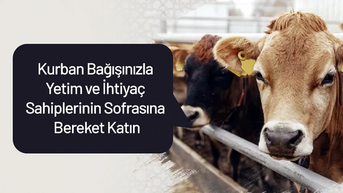 Kurban Bağışınızla Yetim ve İhtiyaç Sahiplerinin Sofrasına Bereket Katın
