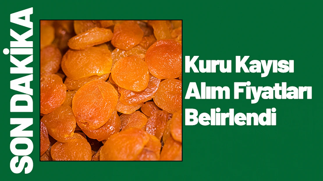 Kuru Kayısı Alım Fiyatları Belirlendi