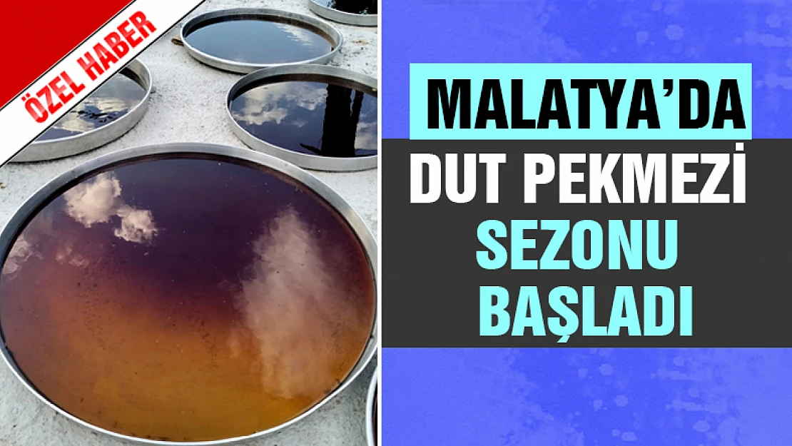 Malatya'da Dut Pekmezi Sezonu Başladı...