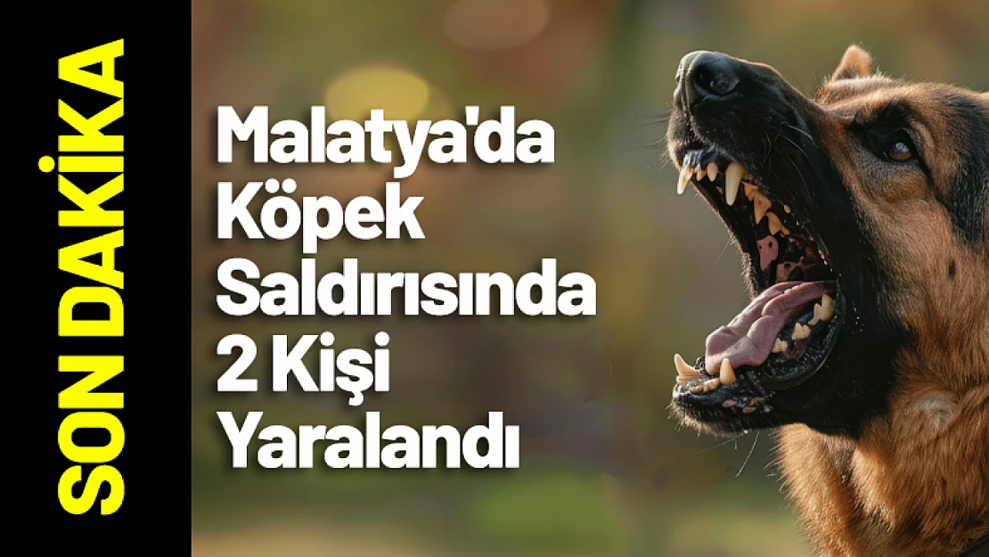 Malatya'da Köpek Saldırısında 2 Kişi Yaralandı