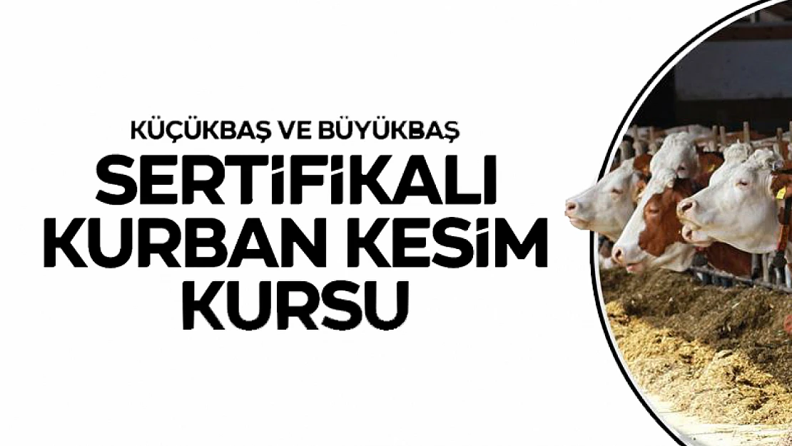 Malatya'da Kurban Kesim Kursu Başlıyor: Sertifikanı Al, Güvenli Kesim Yap