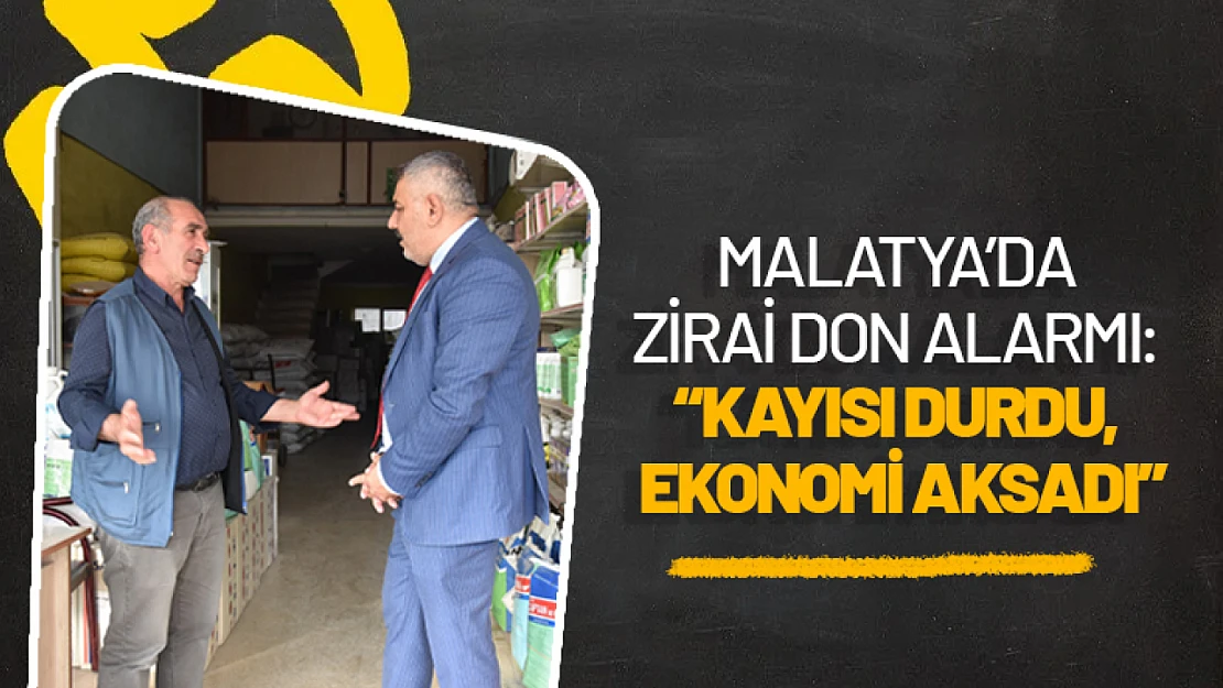Malatya'da Zirai Don Alarmı: 'Kayısı Durdu, Ekonomi Aksadı'