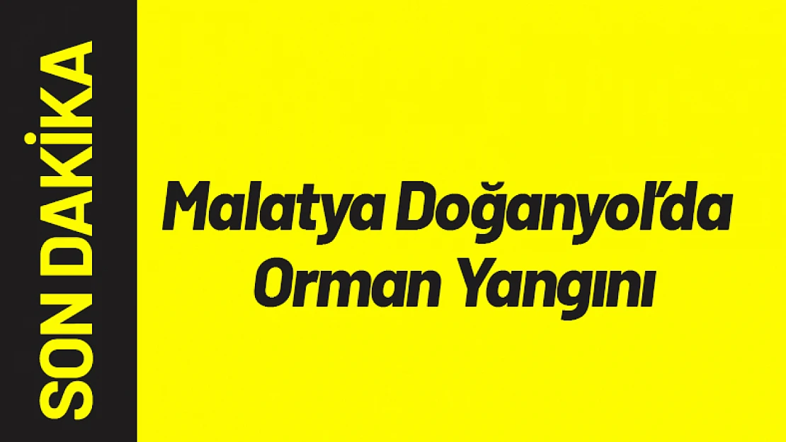 Malatya Doğanyol'da Orman Yangını