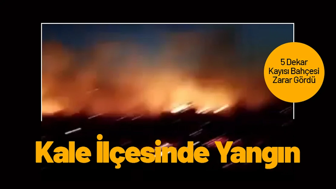 Malatya'nın Kale İlçesinde Yangın