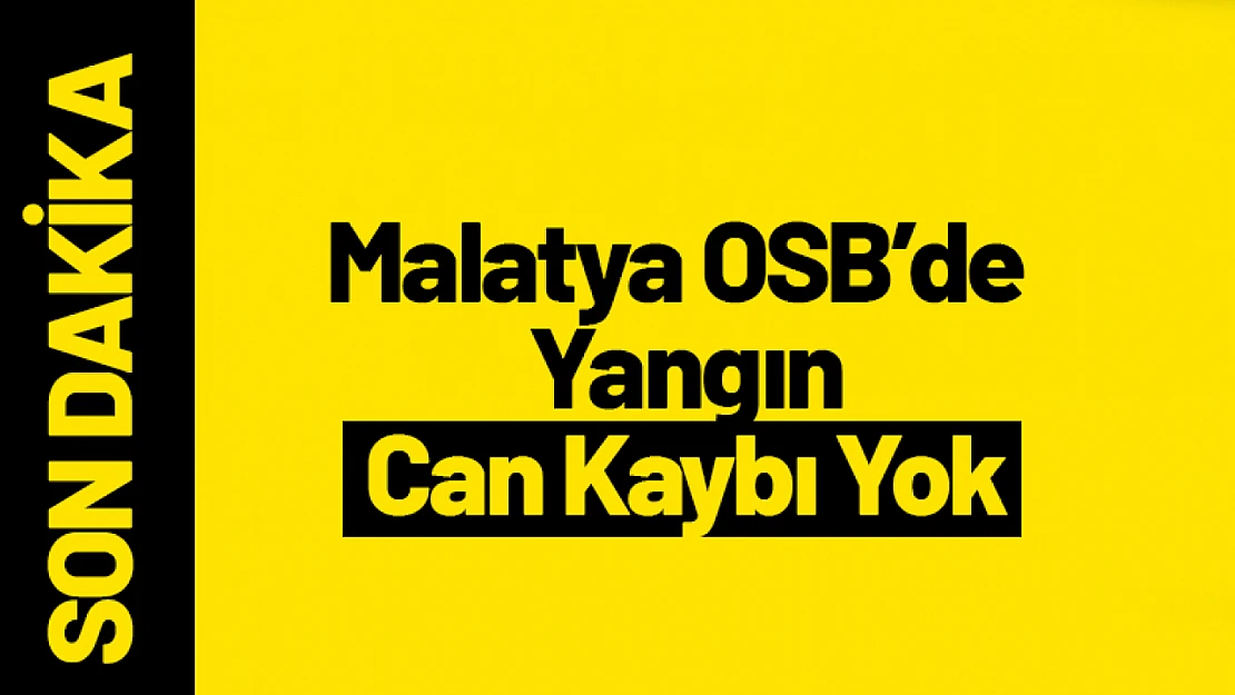 Malatya OSB'de Yangın Can Kaybı Yok