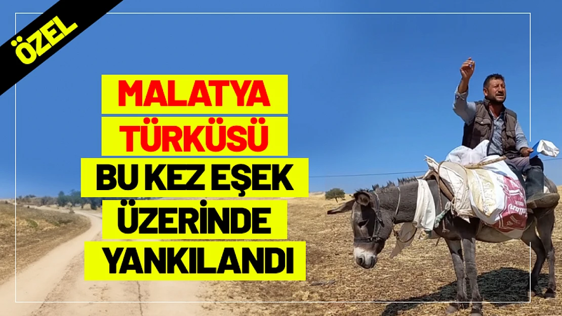 Malatya Türküsü Bu Kez Eşek Üzerinde Yankılandı