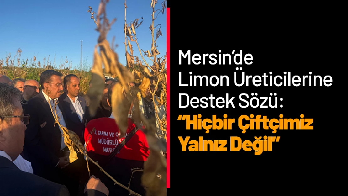 Mersin'de Limon Üreticilerine Destek Sözü: 'Hiçbir Çiftçimiz Yalnız Değil'