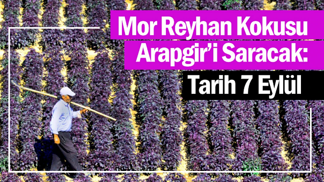 Mor Reyhan Kokusu Arapgir'i Saracak: Tarih 7 Eylül