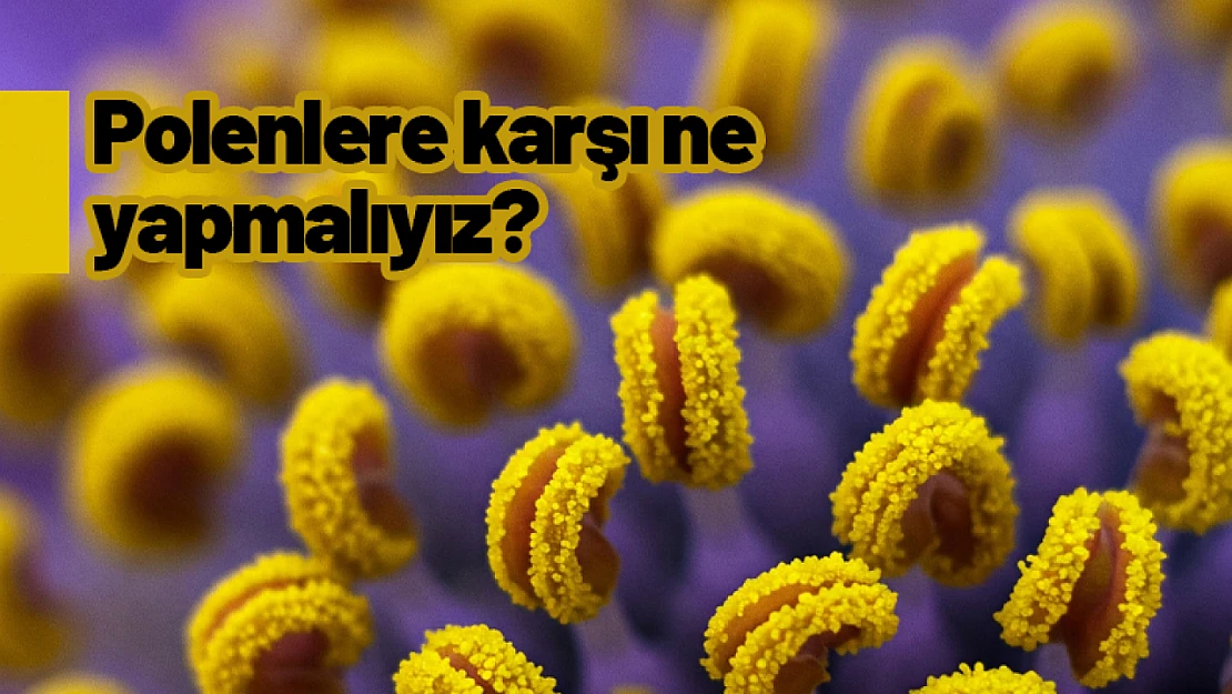 Polenlere karşı ne yapmalıyız?