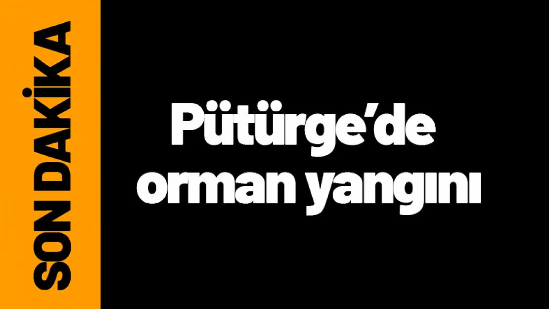 Pütürge'de orman yangını