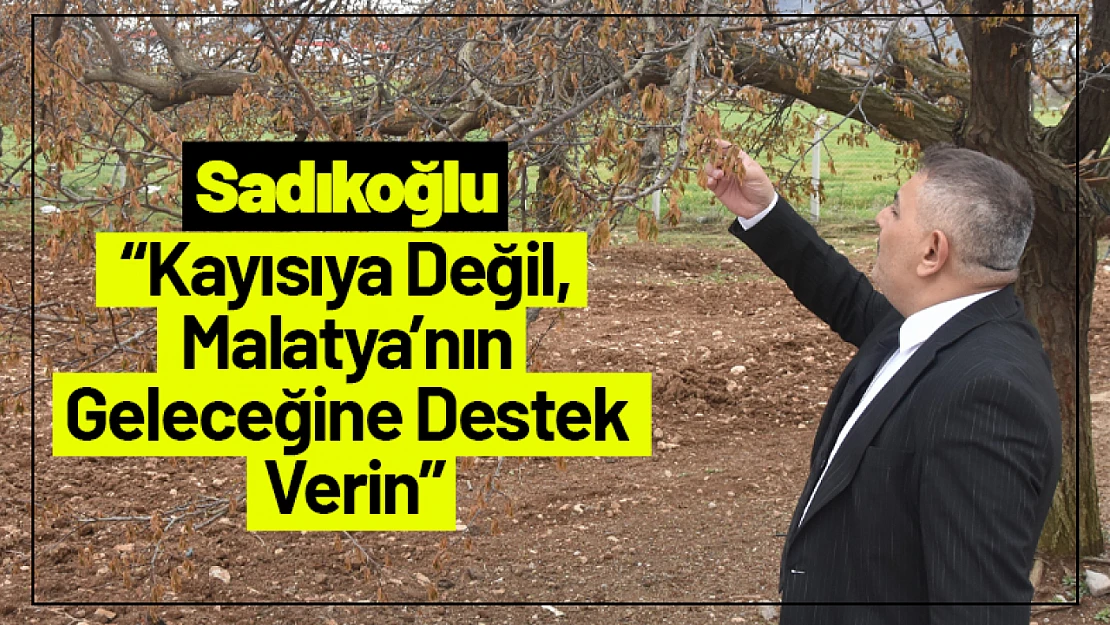 Sadıkoğlu: 'Kayısıya Değil, Malatya'nın Geleceğine Destek Verin'