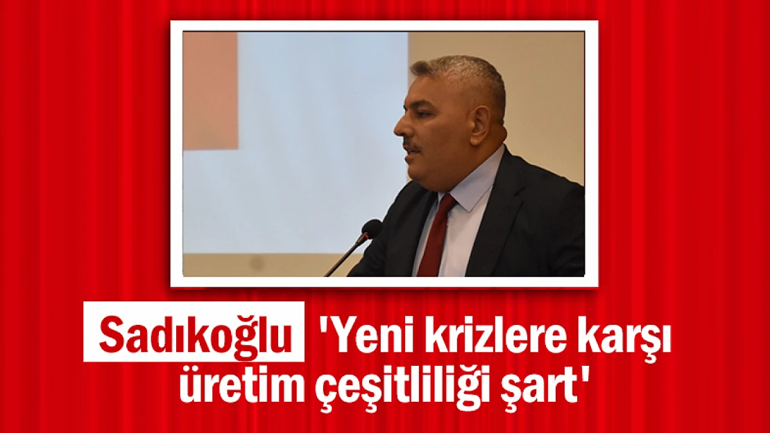 Sadıkoğlu: 'Yeni krizlere karşı üretim çeşitliliği şart'