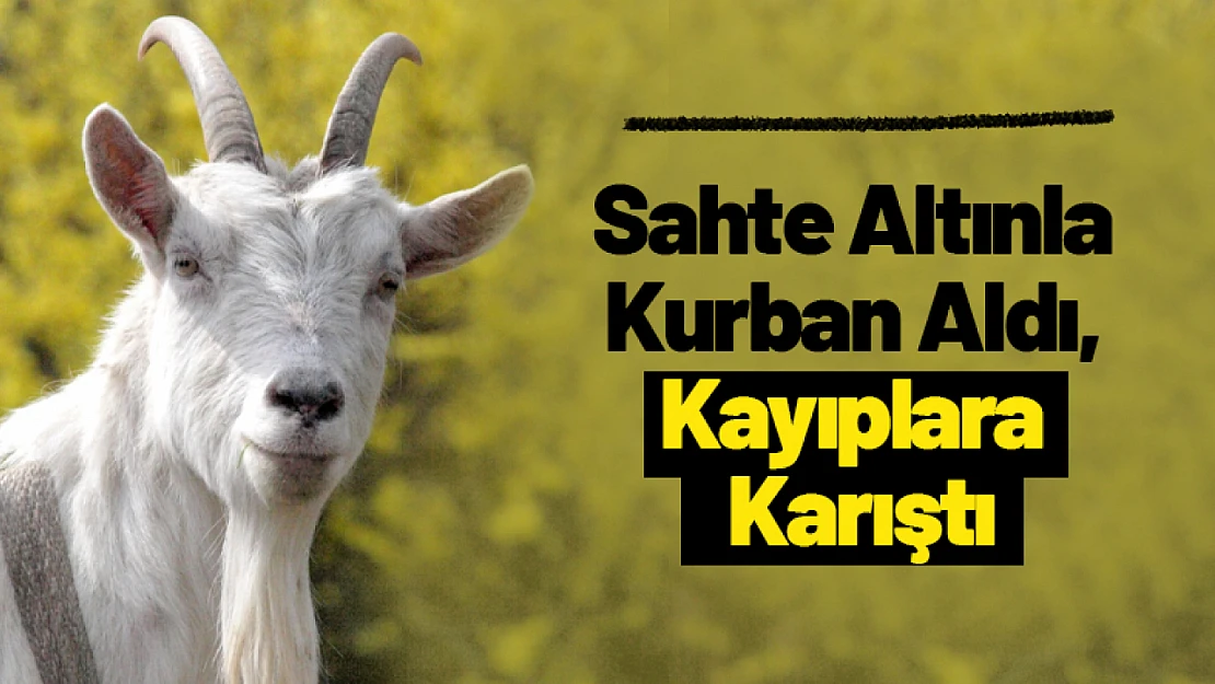 Sahte Altınla Kurban Aldı, Kayıplara Karıştı