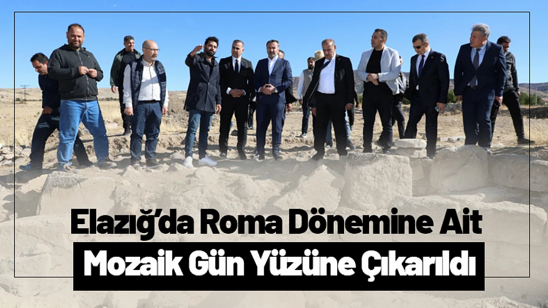 Salkaya Köyünde Roma Dönemine Ait Eşsiz Mozaik Gün Yüzüne Çıkarıldı