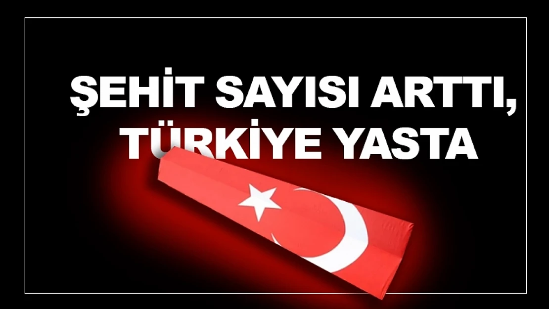 Şehit Sayısı Arttı, Türkiye Yasta