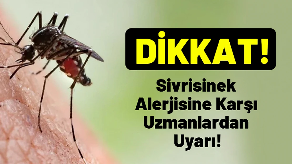 Sivrisinek Alerjisine Karşı Uzmanlardan Uyarı!