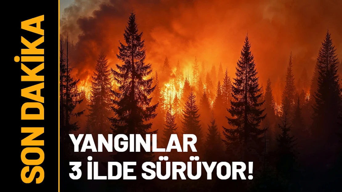 Yangınlar 3 İlde Sürüyor!